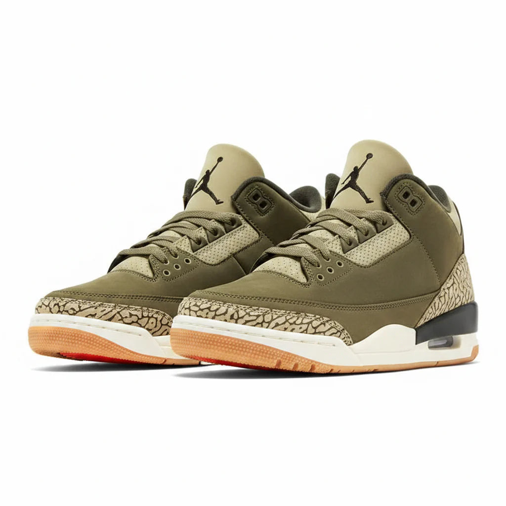 Air Jordan 3 Retro 'Family Affair'