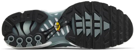 Air Max Plus 'Palm Pack - Waterway'