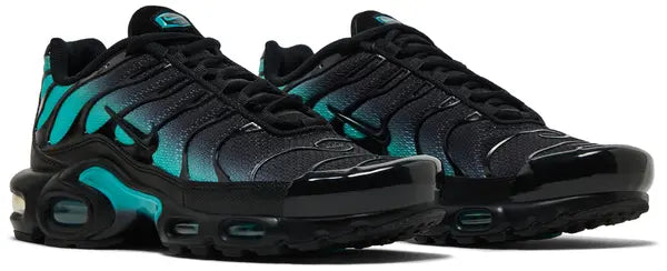 Air Max Plus 'Black Dusty Cactus'