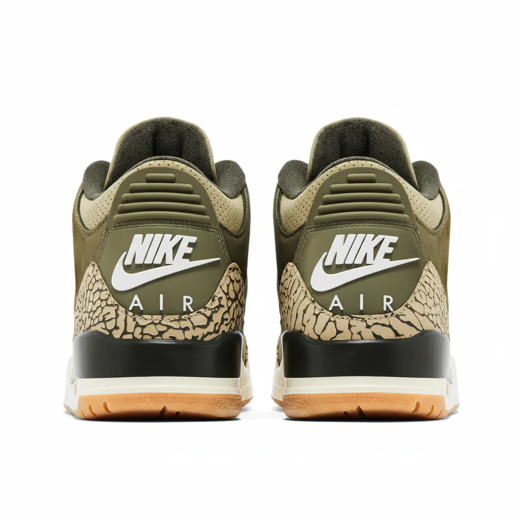 Air Jordan 3 Retro 'Family Affair'