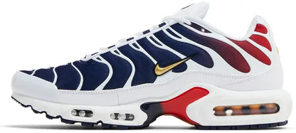 Paris Saint-Germain x Nike Air Max Plus 'Home Kit'