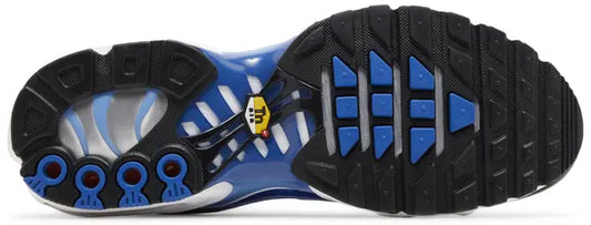 Men's Air Max Plus 'Light Photography - Old Royal'