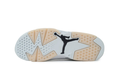 Paris Saint-Germain x Air Jordan 6 Retro 'Silver'