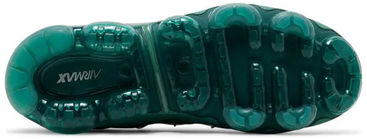 Wmns Air Vapormax Plus 'Bicoastal'