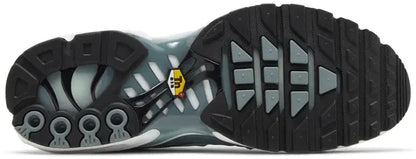 Air Max Plus 'Palm Pack - Waterway'
